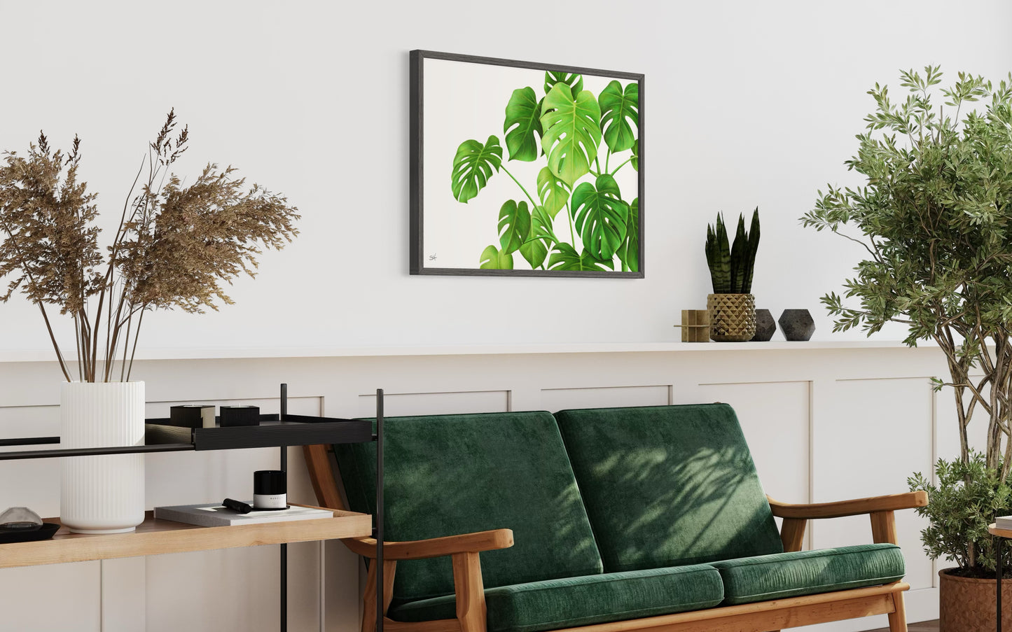 Monstera
