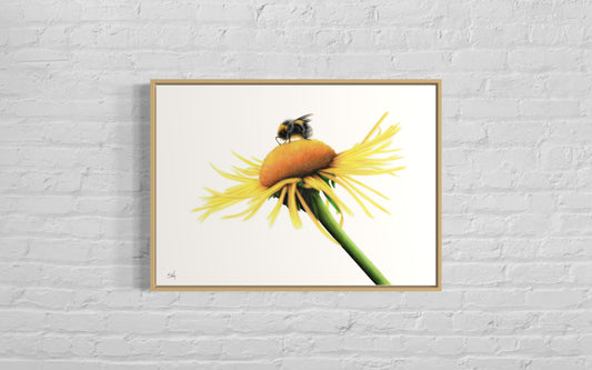 Bee