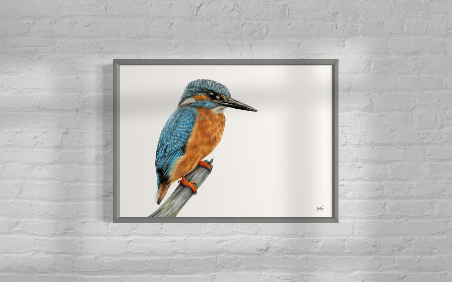 Kingfisher