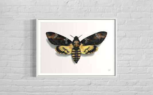 Death’s Head Hawk Moth