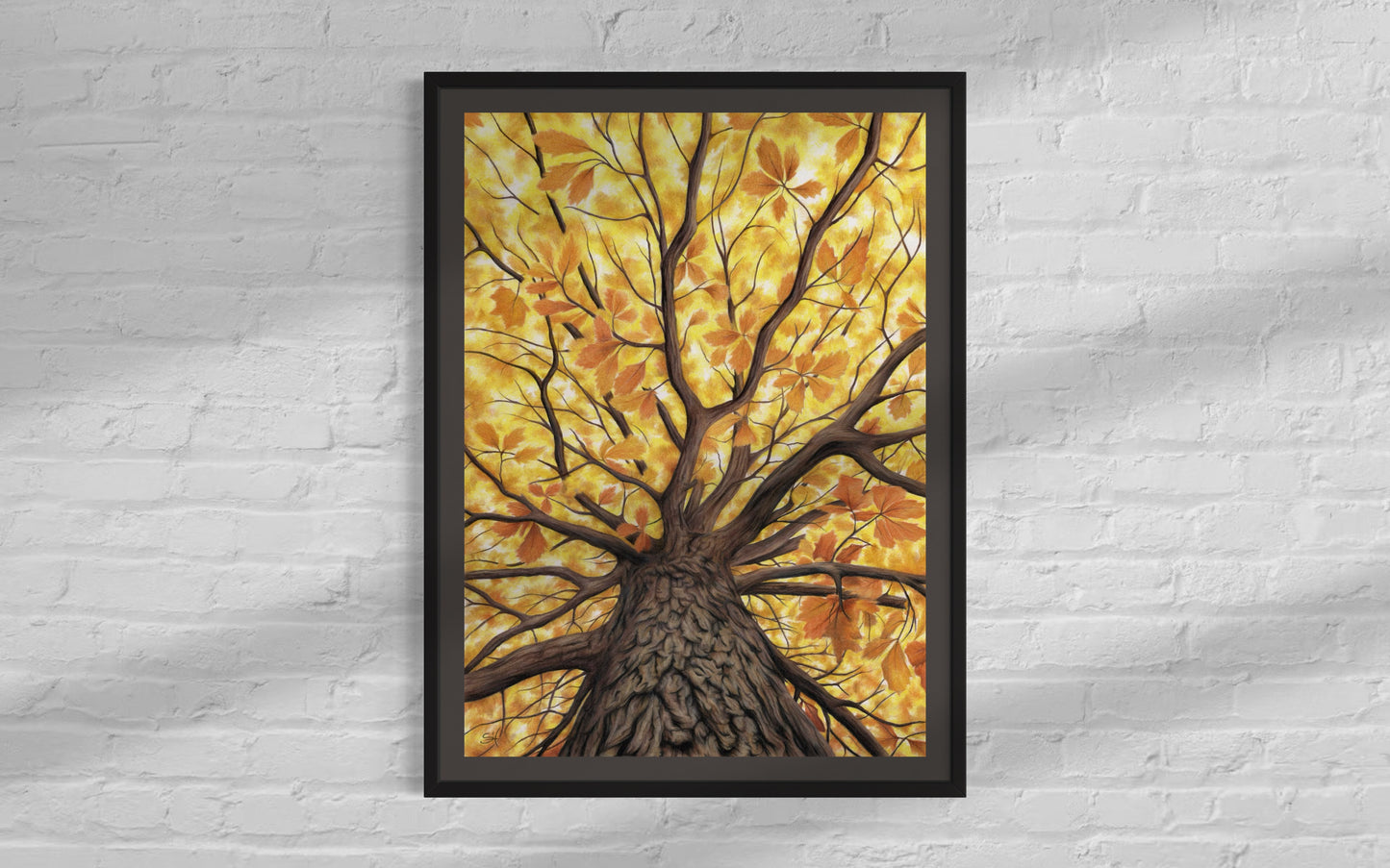 Autumn tree