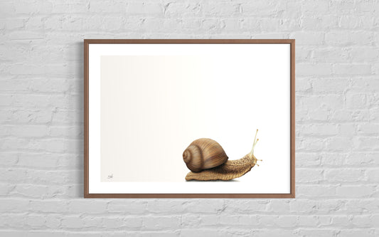Snail (Landscape)