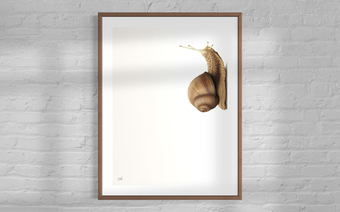 Snail (Portrait)