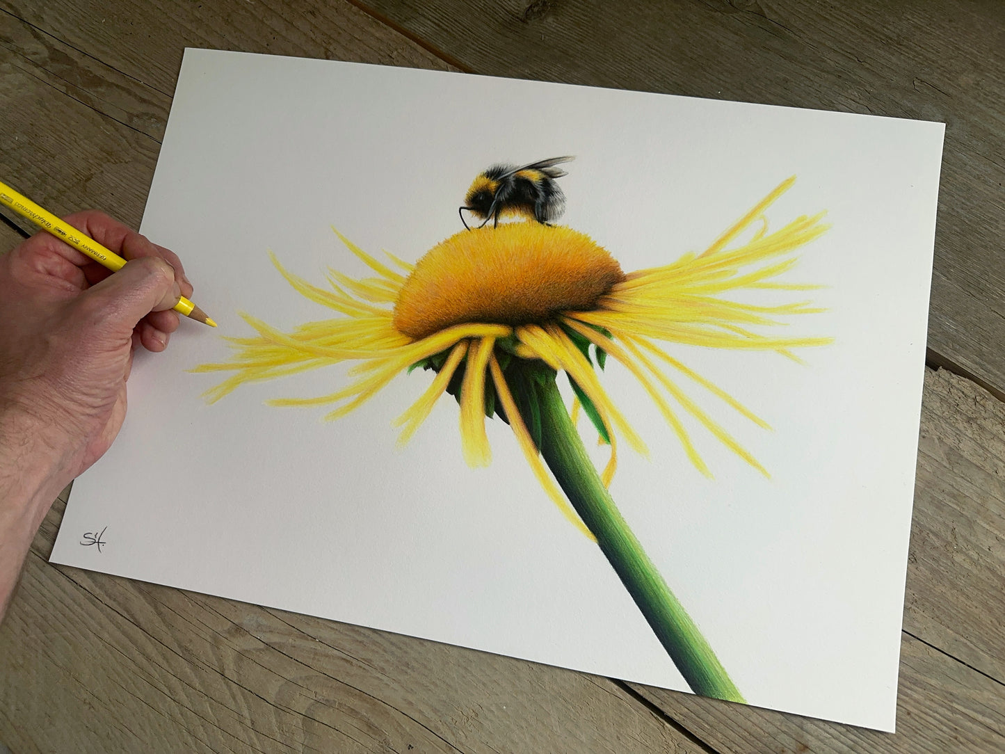 Bee