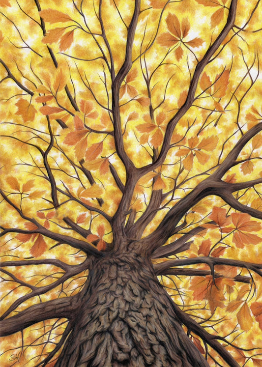 Autumn tree