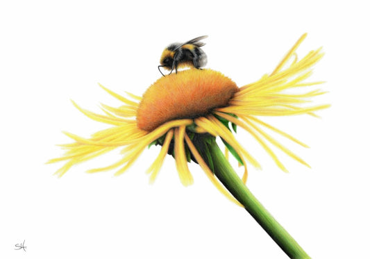 Bee