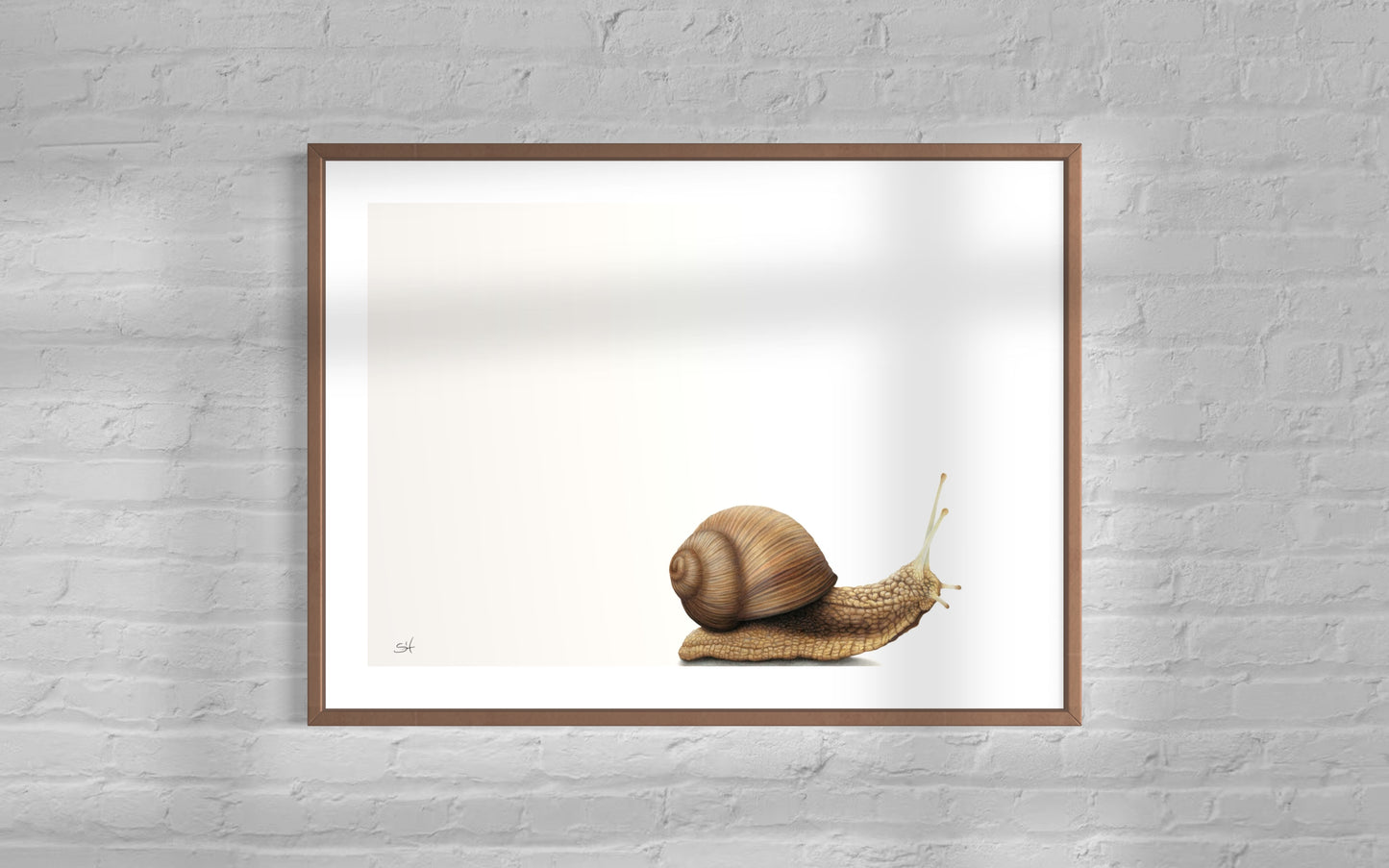 Snail (Landscape)